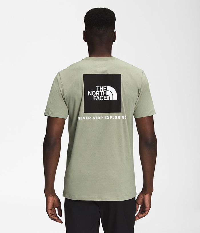 Camiseta The North Face Hombre Manga Corta Box Nse Verde - Peru 79601GBVX